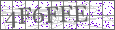 Visual Verification Image