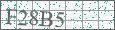 Visual Verification Image