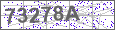 Visual Verification Image