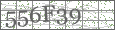 Visual Verification Image