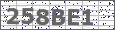 Visual Verification Image